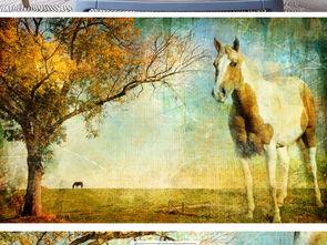 马蓝天背景,从平凡到卓越的创业传奇